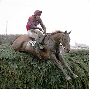 Richard Guest rides Red Marauder